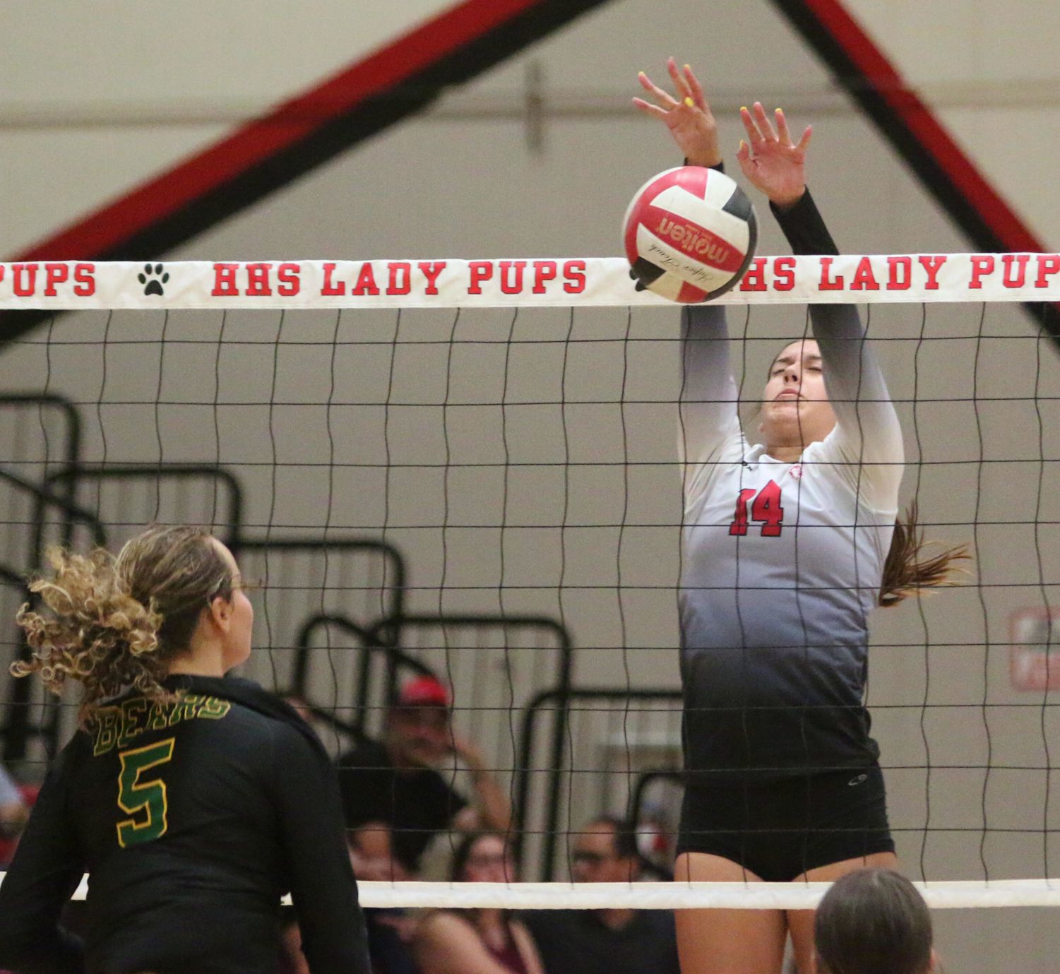 Golden Bears open season with victory over Bullpups